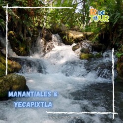 ⭐LOS MANANTIALES + YECAPIXTLA⭐